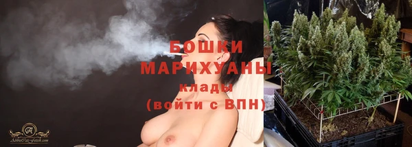 бошки Новодвинск