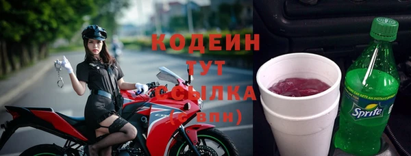 2c-b Новозыбков