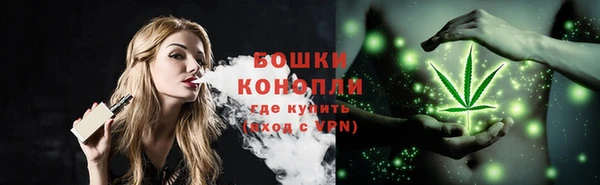 бошки Новодвинск