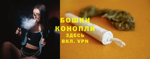 2c-b Новозыбков