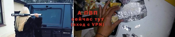 2c-b Новозыбков
