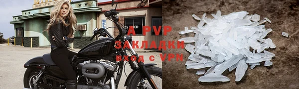 бошки Новодвинск