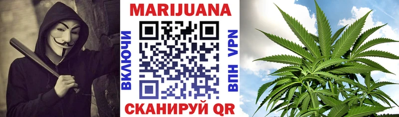Каннабис Amnesia  Купить где  Данилов 